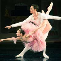 Nutcracker Winter Suite