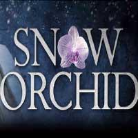 Snow Orchid
